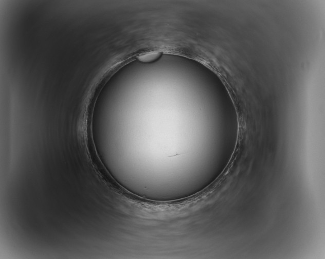 X0000089340006200706151052