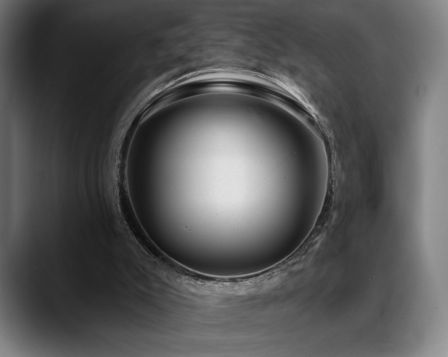 X0000089340007200706151052
