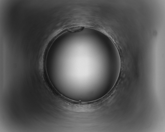 X0000089340008200706151051