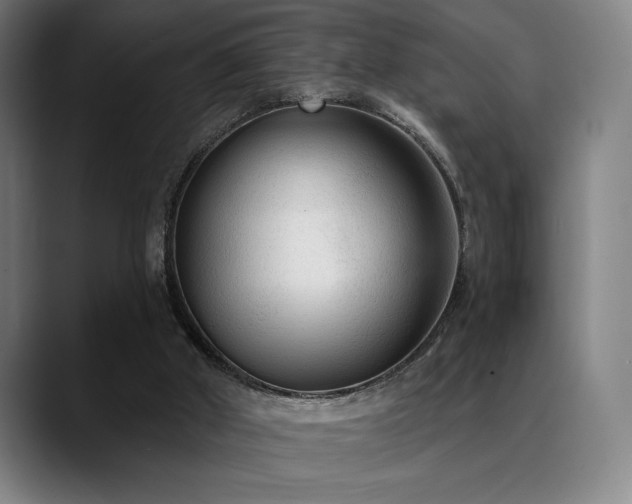 X0000089340010200706151051