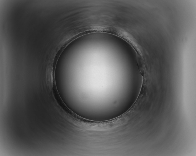 X0000089340011200706151051