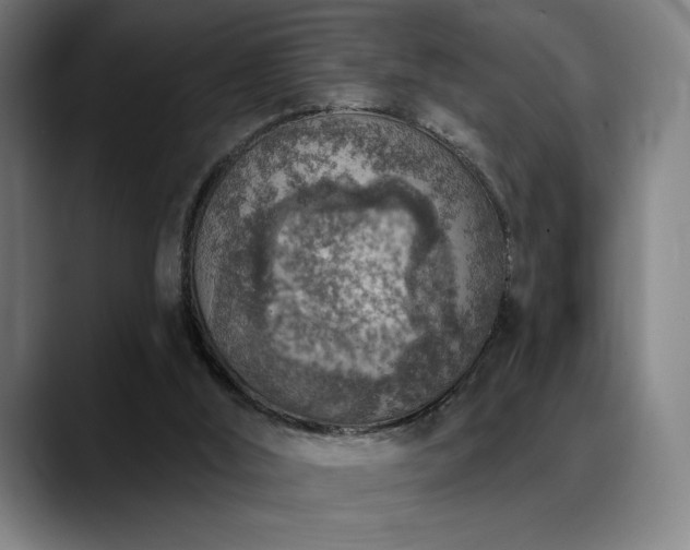 X0000089340012200706151051