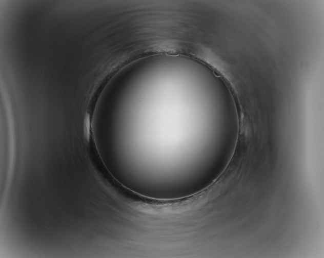 X0000089340013200706151051