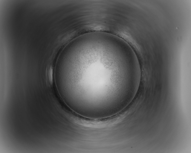 X0000089340014200706151051