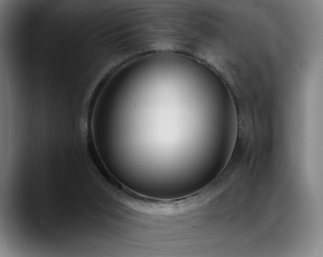 X0000089340015200706151051