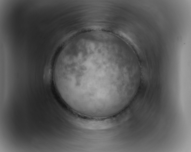 X0000089340016200706151051