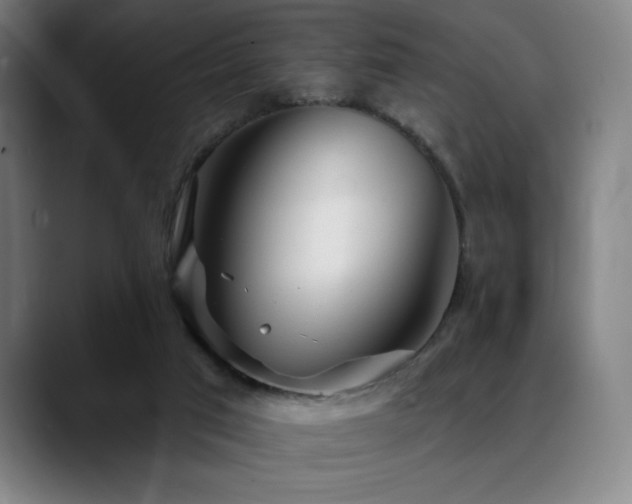 X0000089340017200706151051