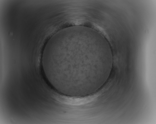 X0000089340018200706151051
