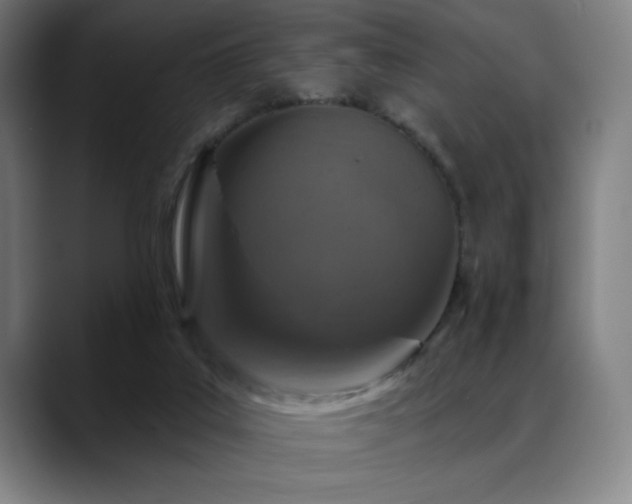 X0000089340019200706151051