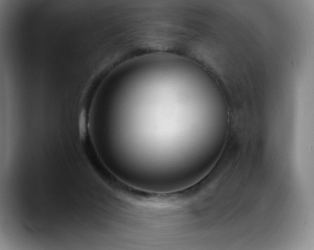 X0000089340020200706151051