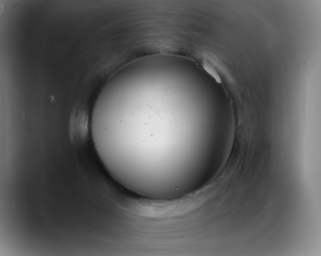 X0000089340021200706151051