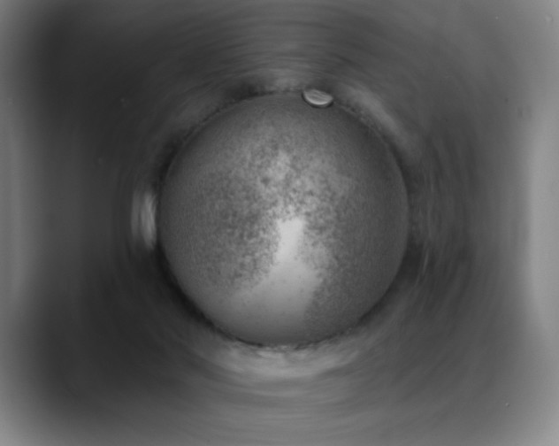 X0000089340022200706151051