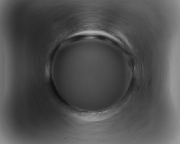 X0000089340023200706151051