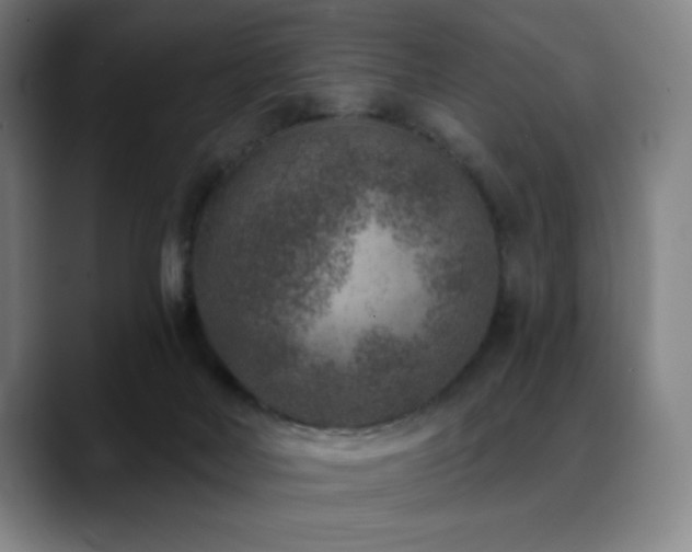 X0000089340026200706151051
