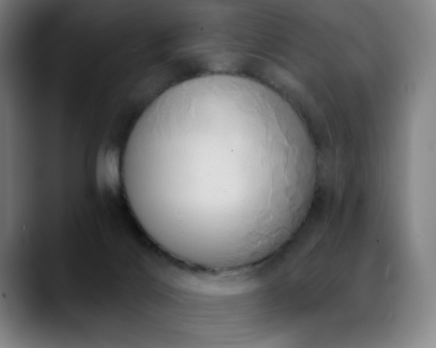X0000089340028200706151051