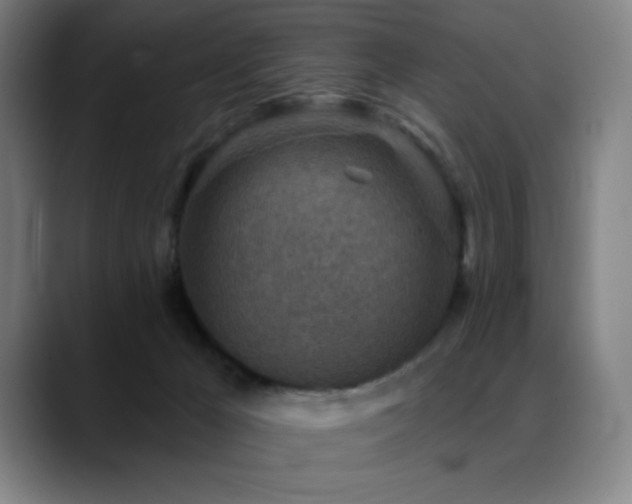 X0000089340029200706151051