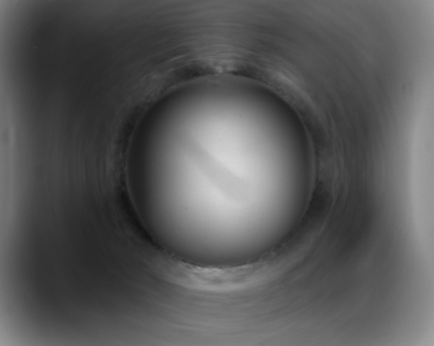 X0000089340030200706151051