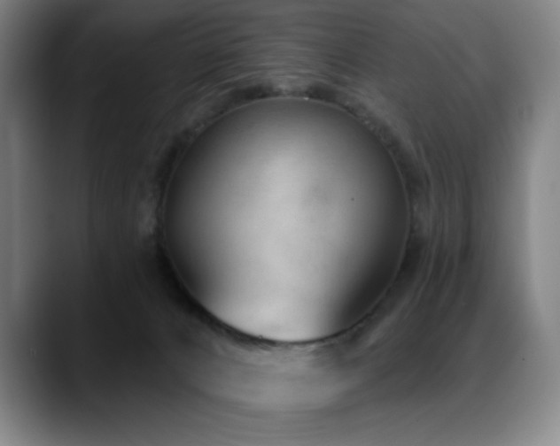 X0000089340032200706151051