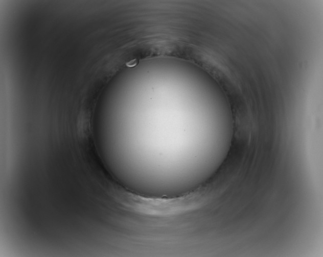 X0000089340034200706151051