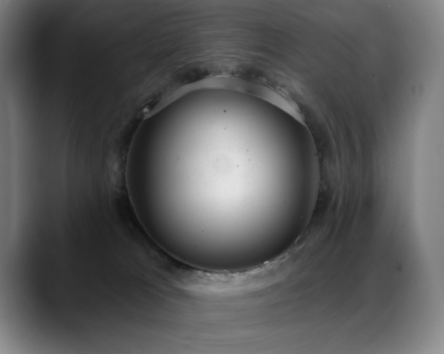 X0000089340037200706151051