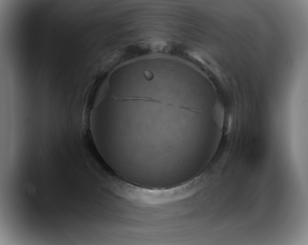 X0000089340039200706151051