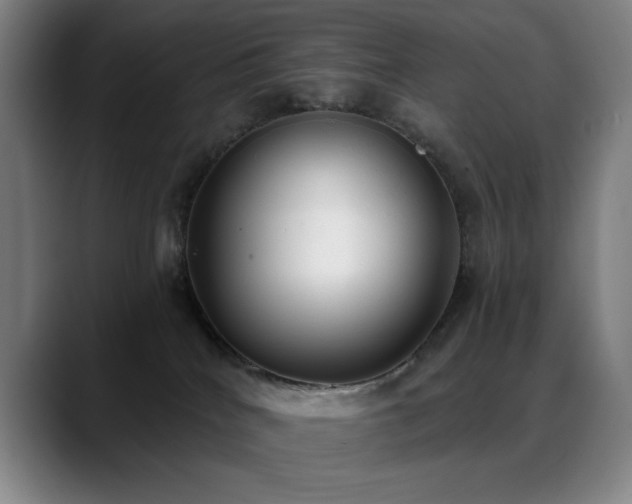 X0000089340040200706151051