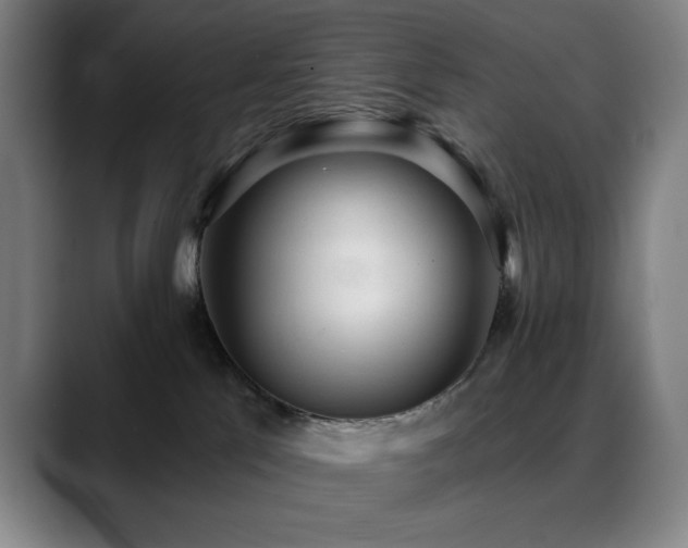 X0000089340041200706151051