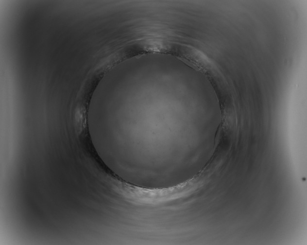 X0000089340043200706151051