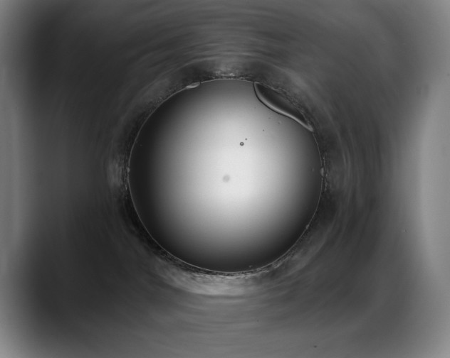 X0000089340044200706151051