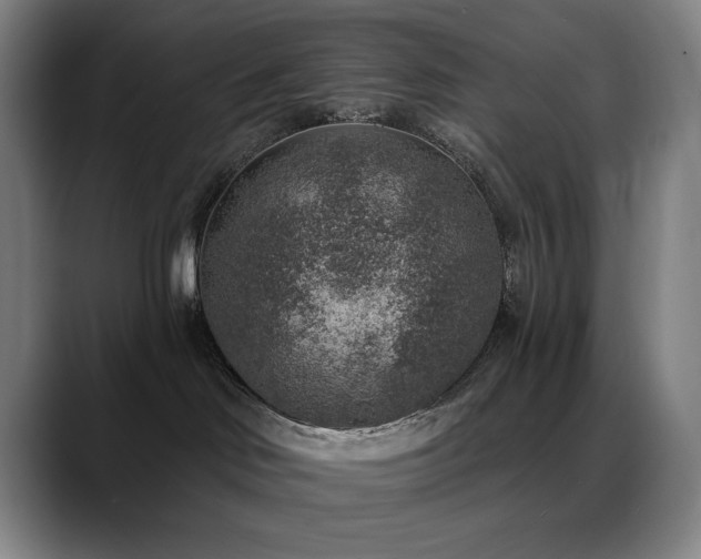 X0000089340046200706151051