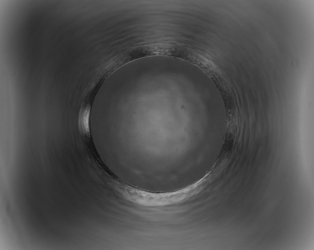 X0000089340047200706151051
