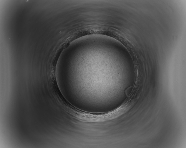 X0000089340048200706151051