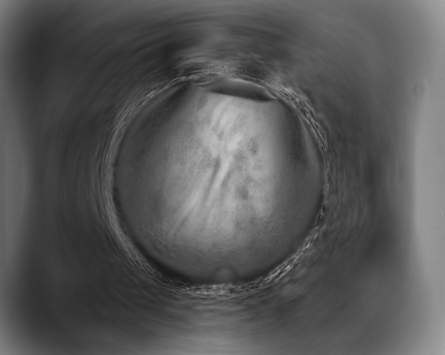 X0000089340049200706151050