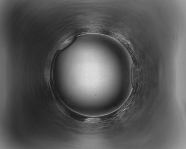 X0000089340051200706151050