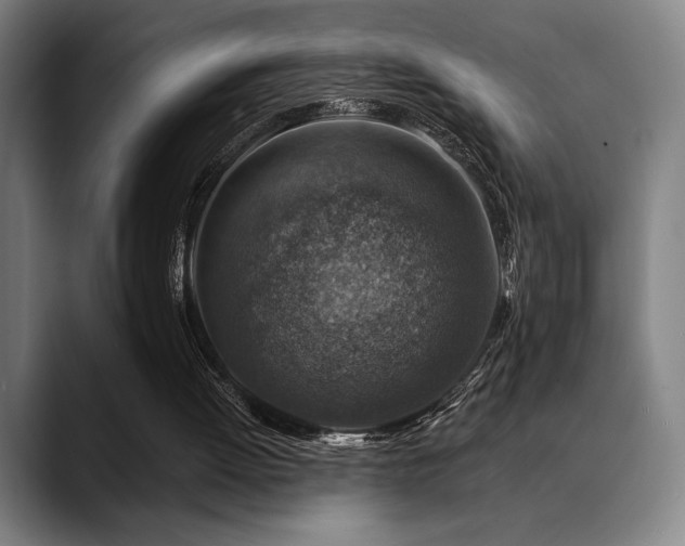 X0000089340052200706151051