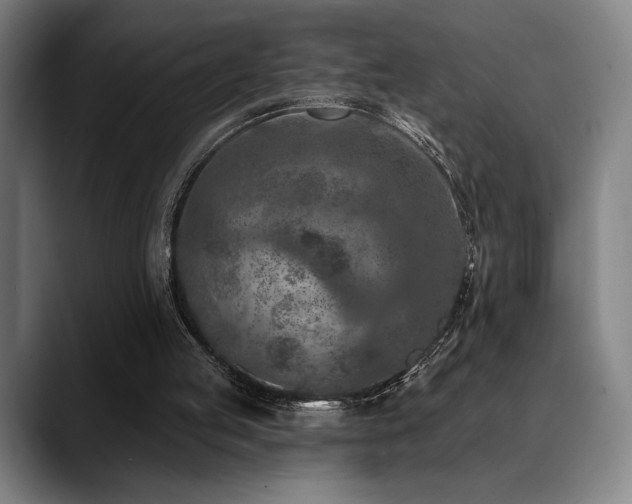 X0000089340053200706151051