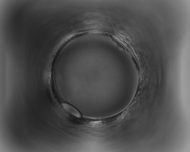 X0000089340054200706151051