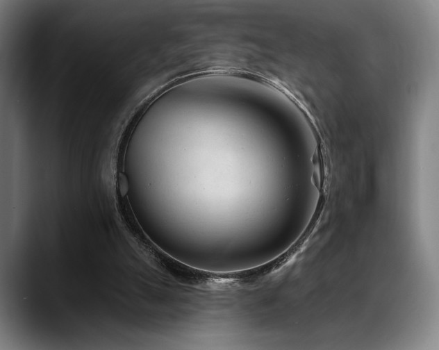 X0000089340055200706151051