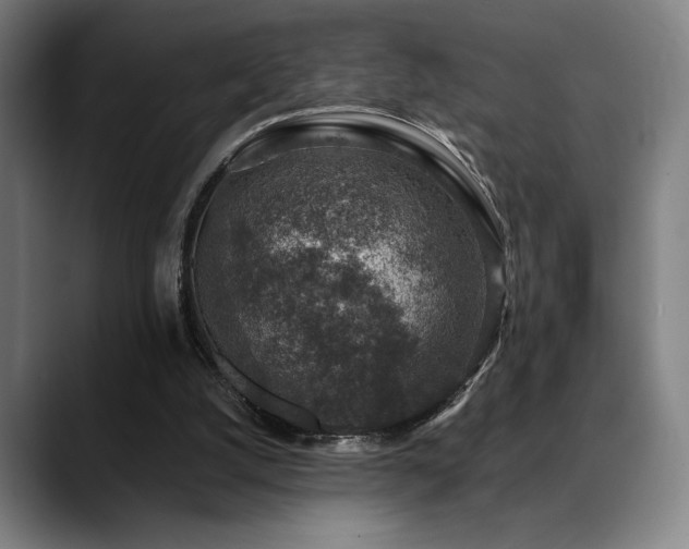 X0000089340056200706151051