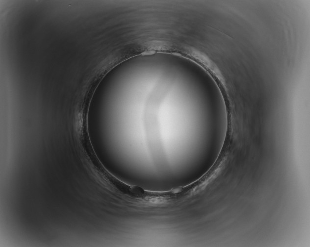 X0000089340057200706151051