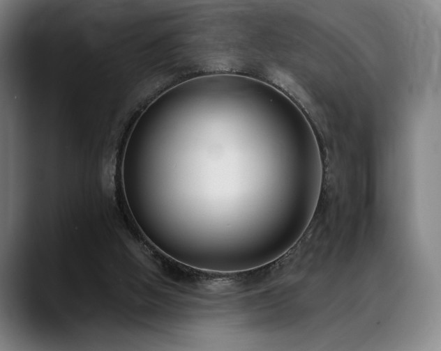 X0000089340058200706151051