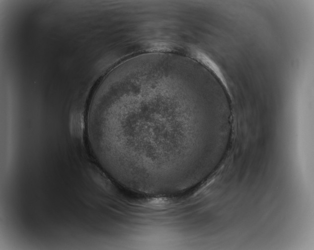 X0000089340059200706151051