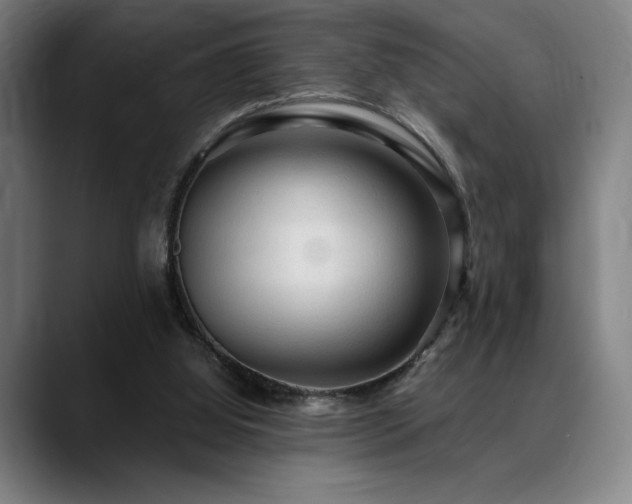 X0000089340060200706151051