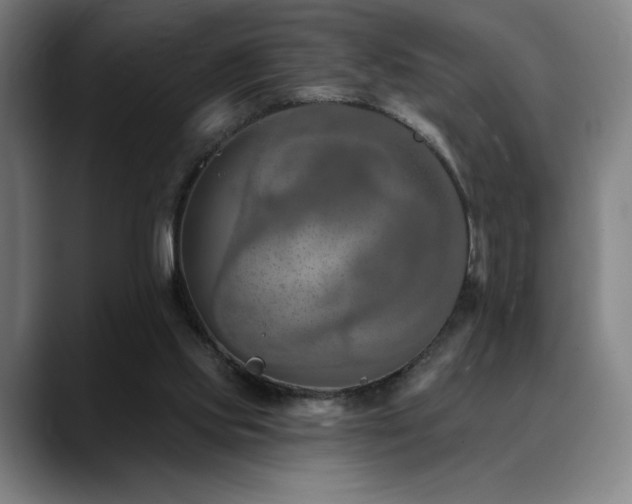 X0000089340061200706151051