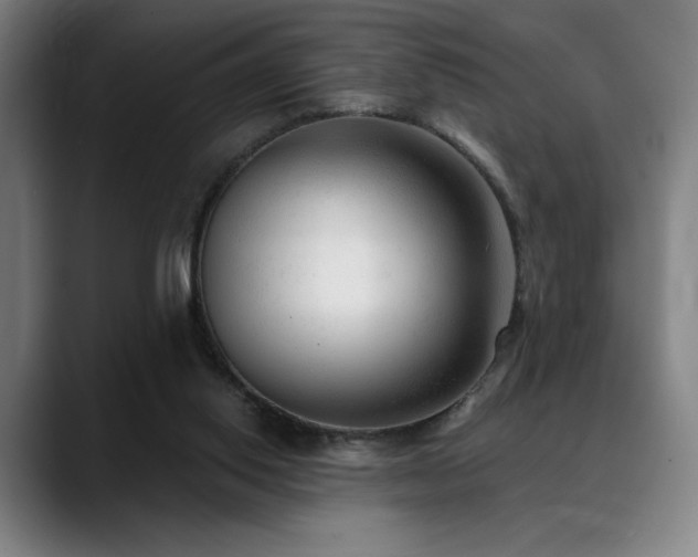 X0000089340062200706151051