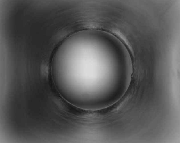 X0000089340063200706151051