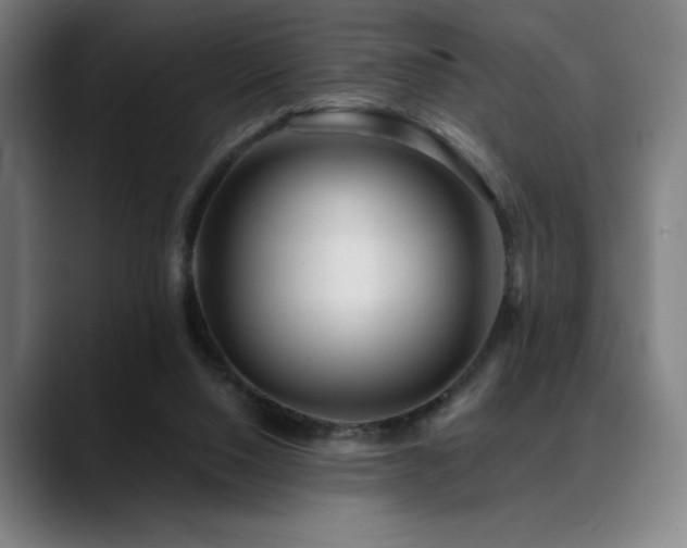 X0000089340064200706151051
