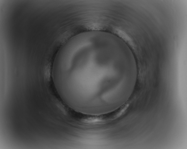 X0000089340065200706151051