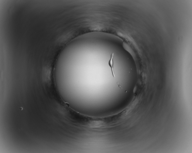 X0000089340066200706151051
