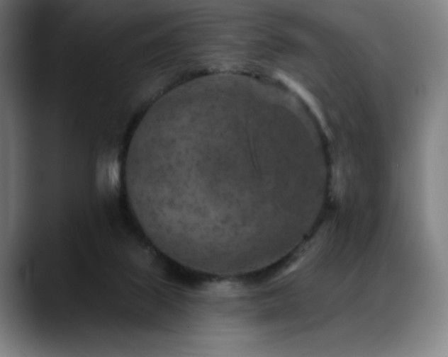 X0000089340067200706151051
